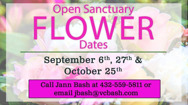 Open Sanctuary Flowers