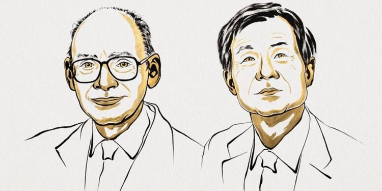 Il Nobel per la Chimica a Kagan e Soai, registi delle molecole-specchio