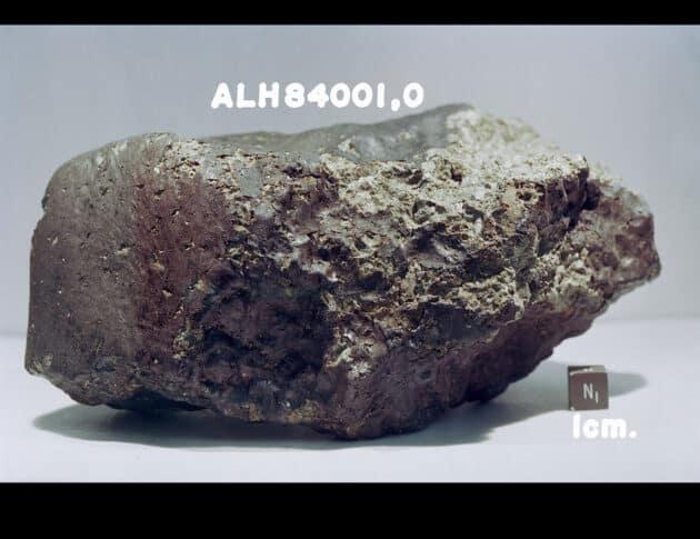 Auch der berühmte Mars-Meteorit „ALH 84001“, in dem einst Mars-Mikroben vermutet wurden, wurde in der Antarktis gefunden.Copyright: NASA
