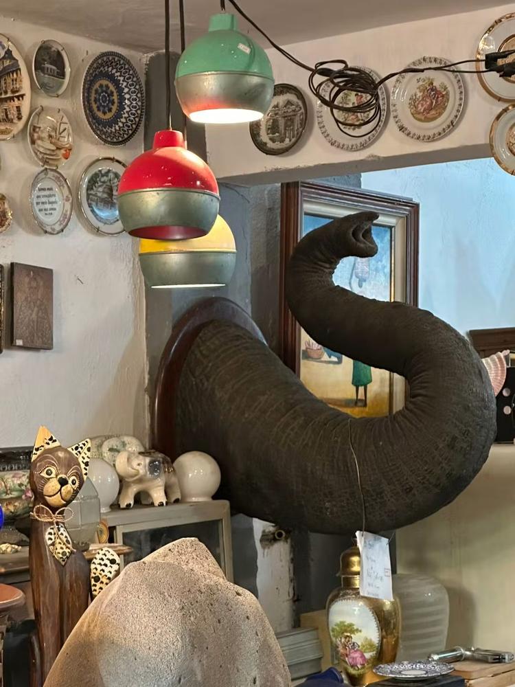 Tromba de elefante apreendida pela PF foi colocada à venda em leilão por R$ 20 mil ao lado de obra de Burle Marx