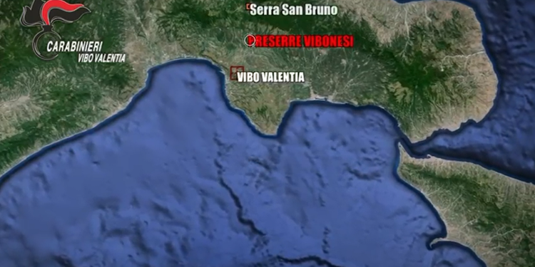 La faida fra le 'ndrine Loielo ed Emanuele tra omicidi, estorsioni e possesso di armi da guerra: 15 arresti tra Vibo, Catanzaro e Cosenza I NOMI