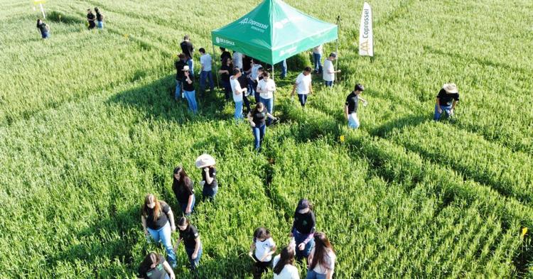 Cooperativa Coprossel apresenta atividades rurais a estudantes paranaenses