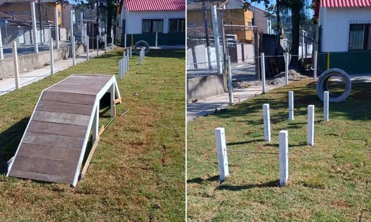 Santos terá espaço pet com piscina, túnel, ponte e percurso recreativo para cães