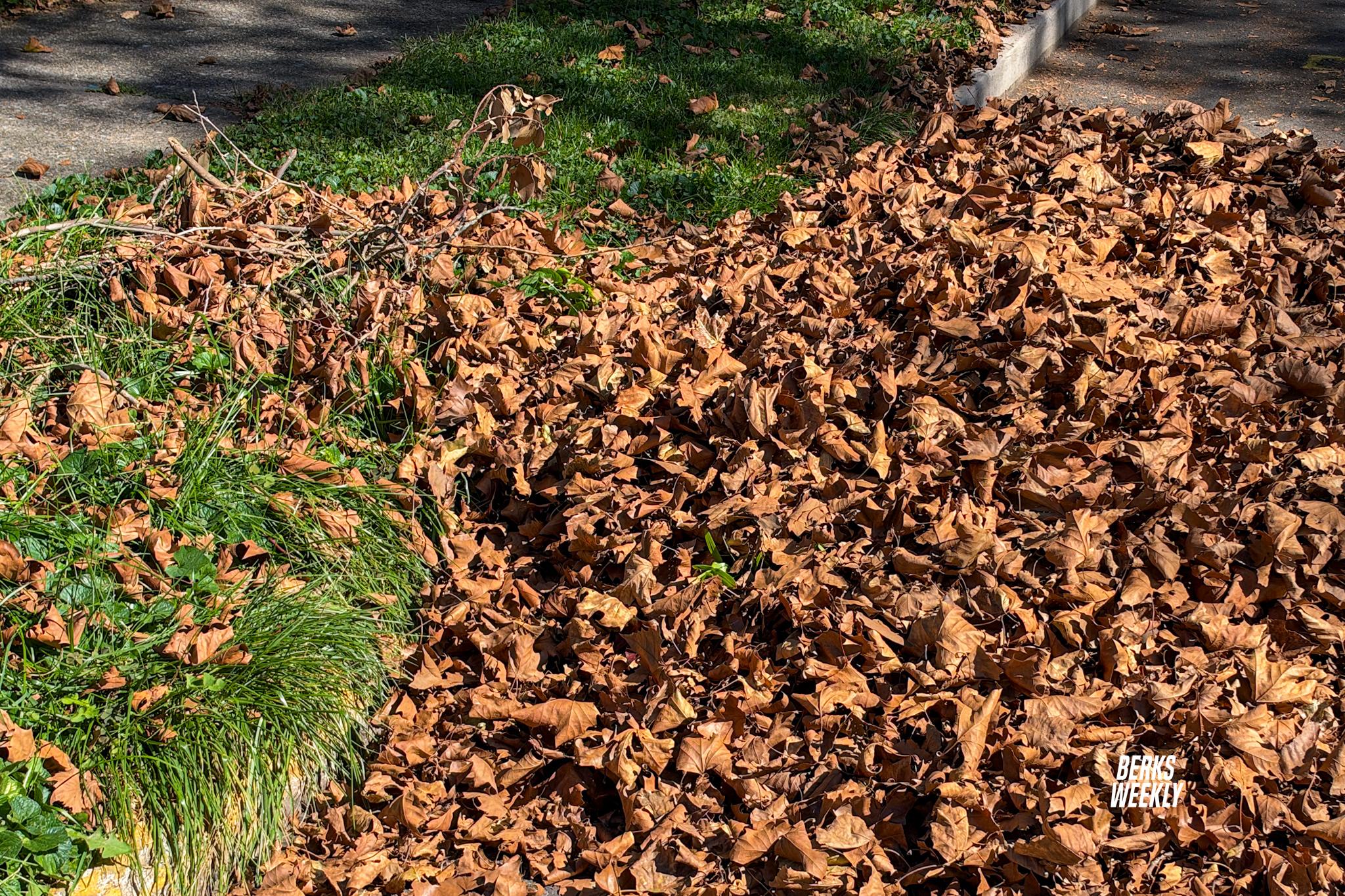 Reading announces curbside leaf collection schedule beginning October 12