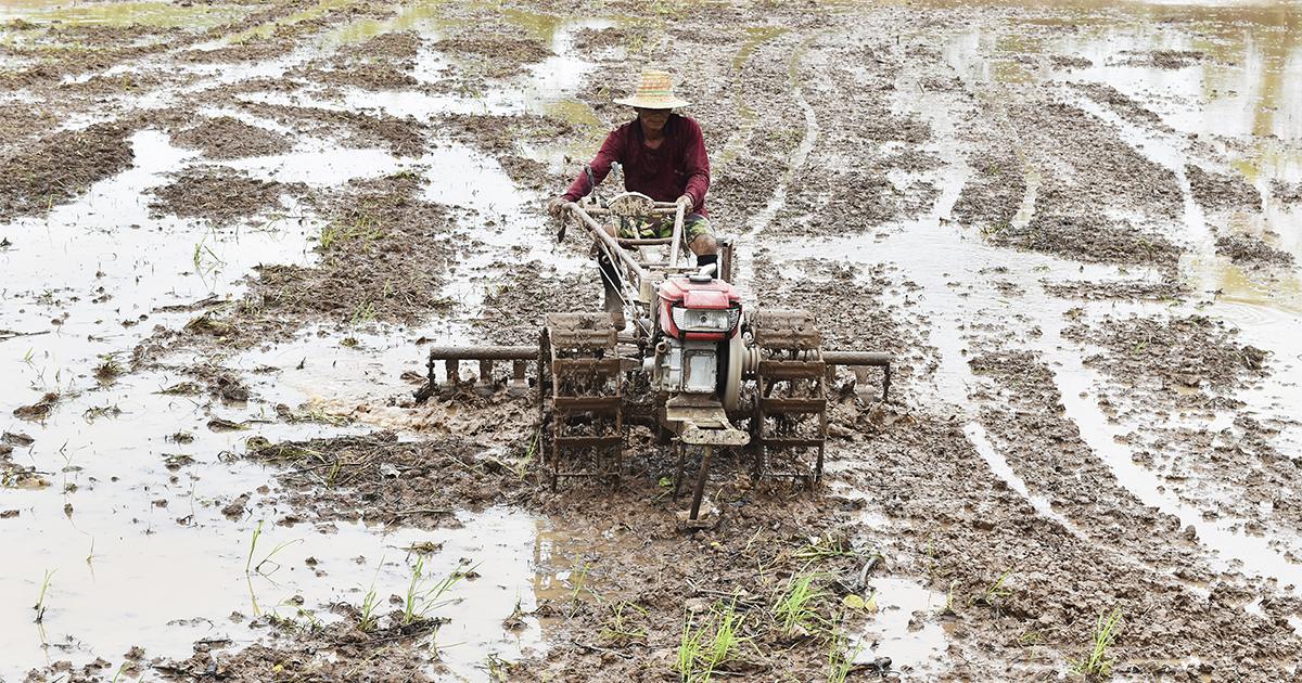 Rastreabilidade e instabilidade climática ampliam desafios de sustentabilidade no agro brasileiro