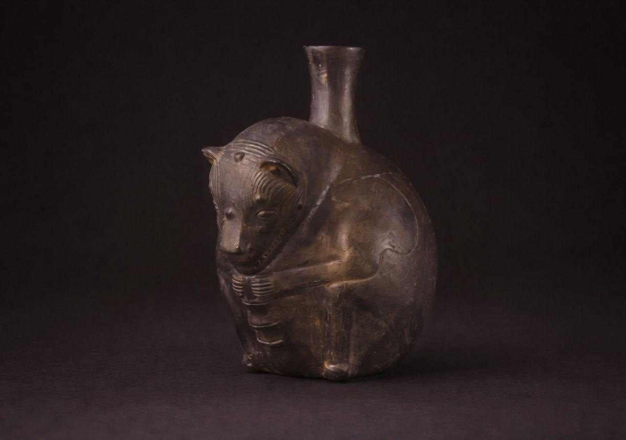 First Evidence of Peruvian Hairless Dogs Found in Ancient Wari Site