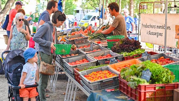 Hérault : la tomate à l'honneur ce dimanche à Clapiers