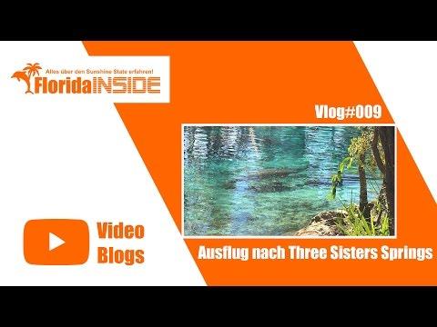 Ausflug nach Three Sisters Springs  - Florida Inside Vlog#009