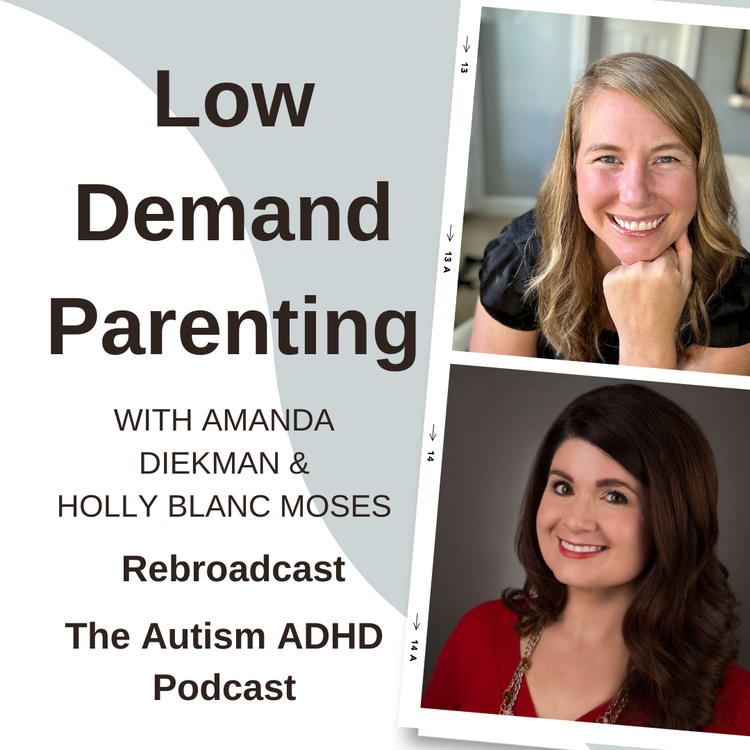 Low Demand Parenting for Neurodivergent Children & Teens With Amanda Diekman