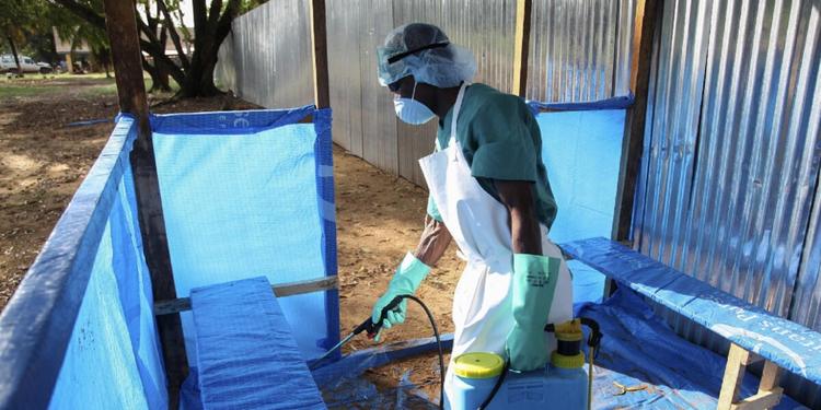 Ebola, l'Oms dichiara l'emergenza globale: 88 morti in Congo, virus a Goma
