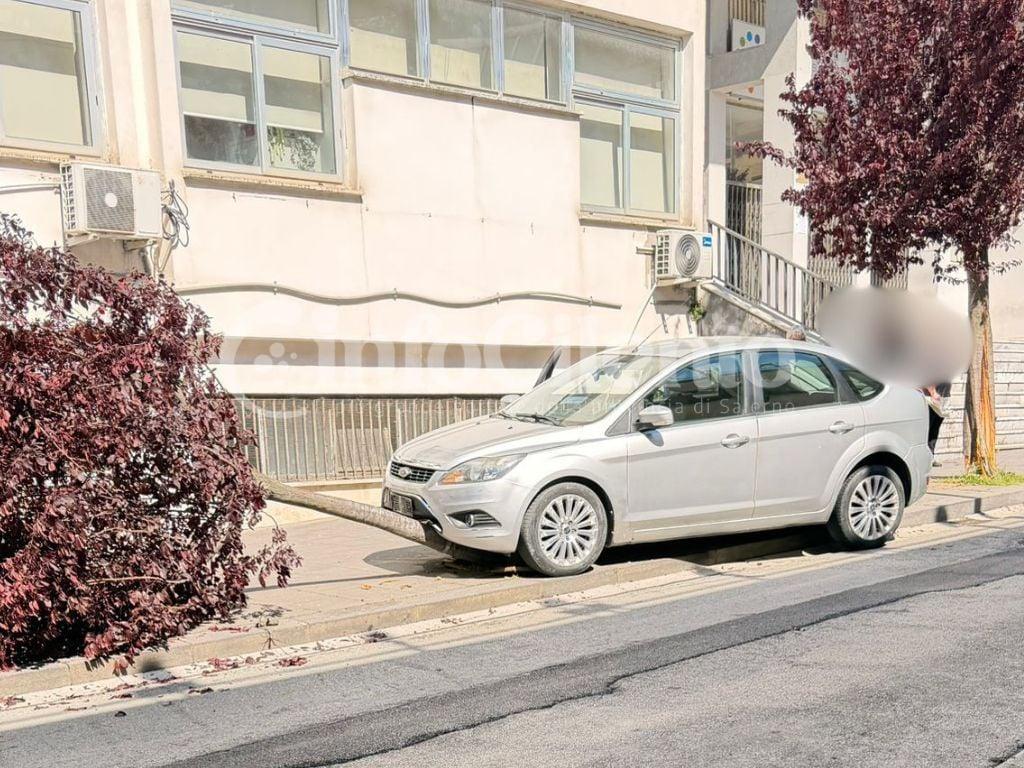 Incidente stradale a Vallo della Lucania: auto abbatte un albero in via Pinto