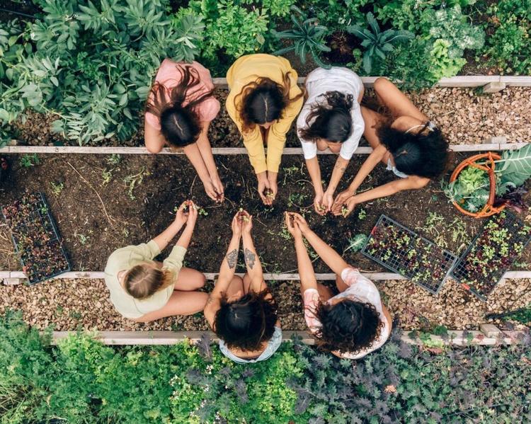A Summer of Slow Living in Pelion/Gardens, holistic hospitality, and the beauty of meaningful travel