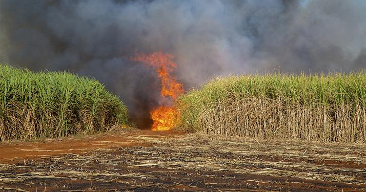 Ministérios da Agricultura e Desenvolvimento Agrário discutem medidas para proteger produtores de efeitos do El Niño