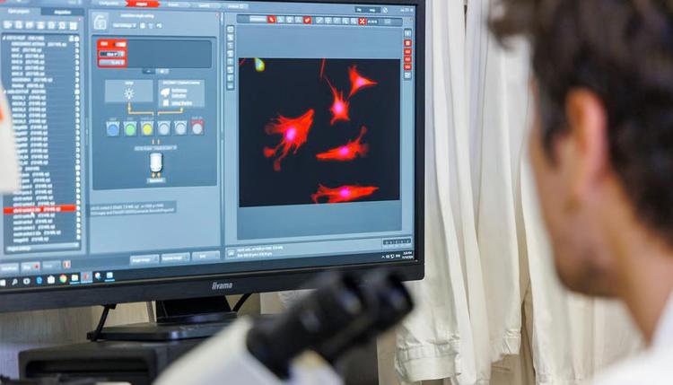 Gli ultrasuoni possono contrastare i processi neuro-infiammatori