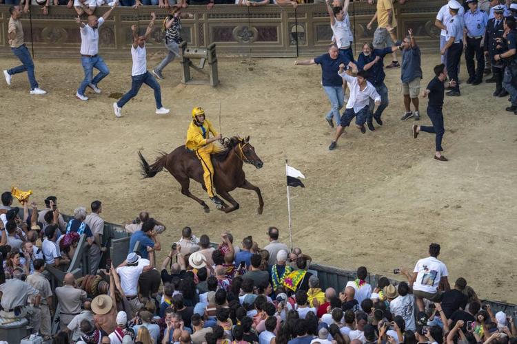 Palio di Siena, dopo 34 anni trionfa la contrada dell'Aquila