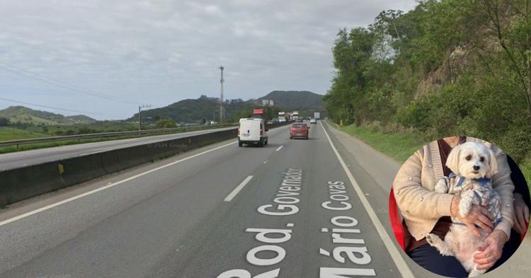 Idosa morre em acidente na BR-101 em Penha; família procura cachorro que fugiu após a colisão&nbsp;