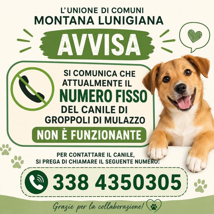 AVVISO IMPORTANTE!! ‼️🐾 #canilemulazzo