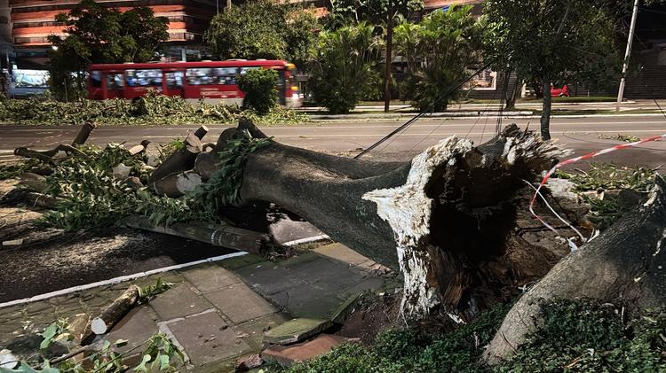Queda de árvores, aulas suspensas e ventos acima de 80 km/h: chuva causa transtornos em diferentes regiões do RS
