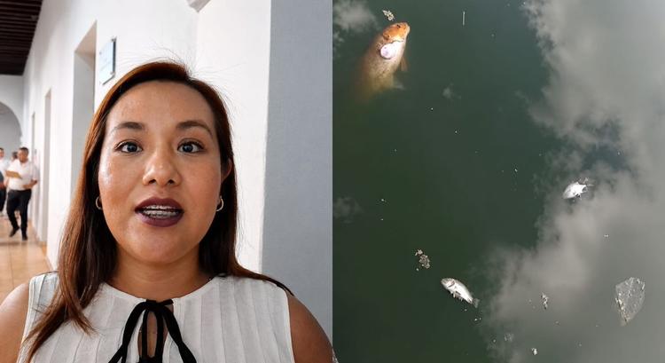 Exigen castigo por muerte masiva de peces en el Parque Alameda de Cuernavaca