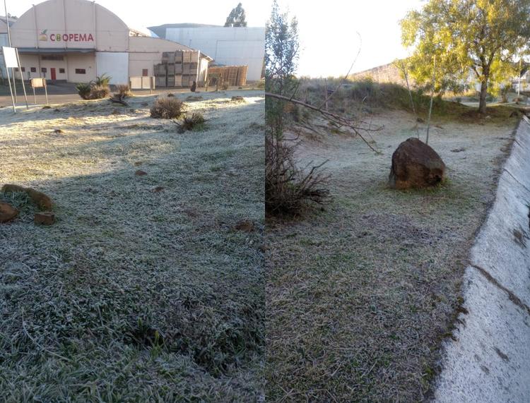 SC registra pelo 2º dia seguido a menor temperatura de 2026 com -5,15°C e geada