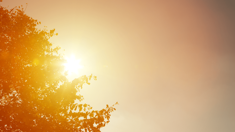 Leflore County confirms first heat-related death of 2026
