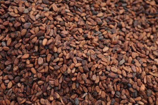 220 مليون دولار فاتورة واردات المغرب من الكاكاو خلال سنة