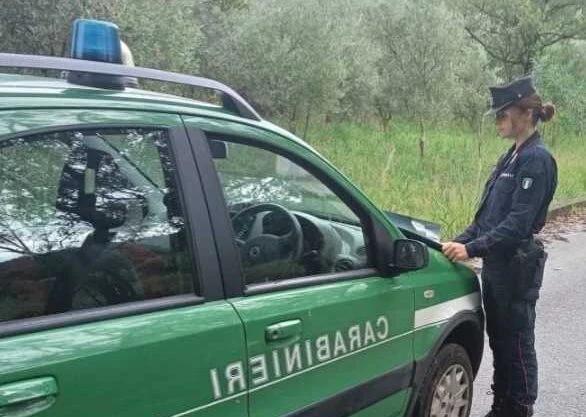 Eboli, sequestrato deposito abusivo di 5.000 mq: distrutti i nidi del Gruccione, specie protetta