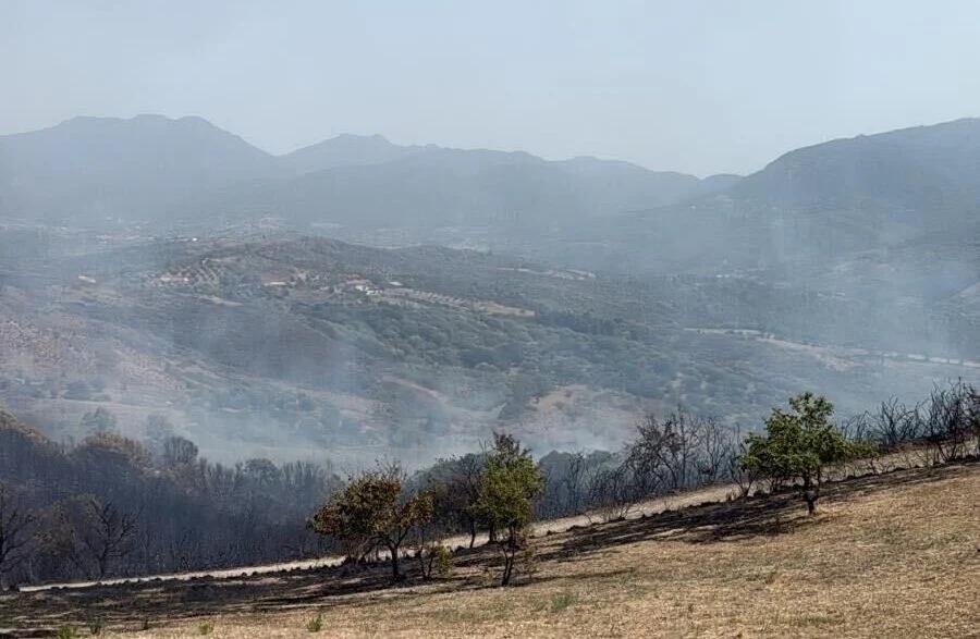 Incendio ad Ascea Marina: focolai riaccesi dal vento, elicottero in azione