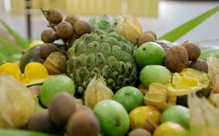 El Niño severo pode elevar a inflação dos alimentos a 10% em 2026