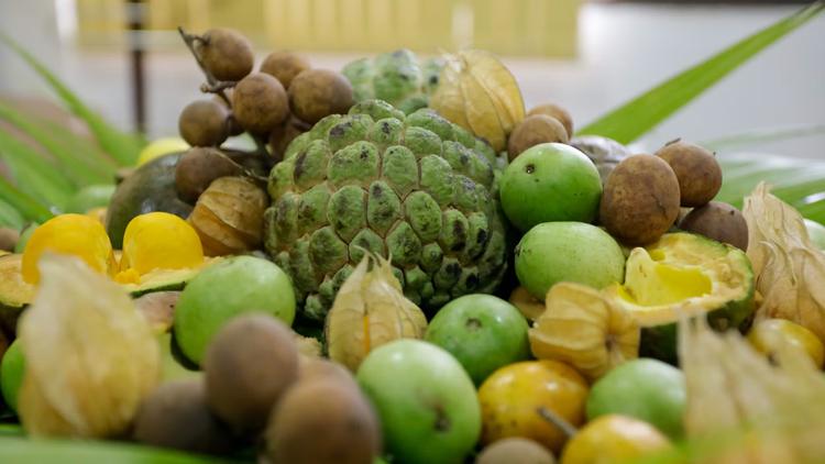 El Niño severo pode elevar a inflação dos alimentos a 10% em 2026
