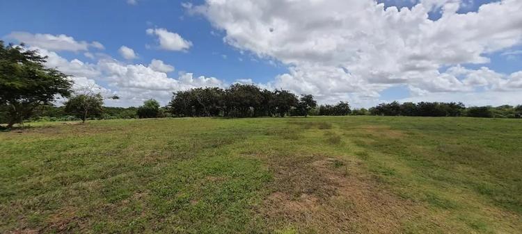 Prefeitura de João Pessoa paralisa obras de antigo lixão e aponta falhas de empresa