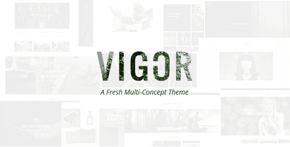 Vigor – Un tema WordPress