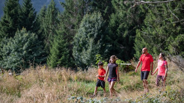 Faites le plein d’activités en famille dans les Vosges&nbsp;!