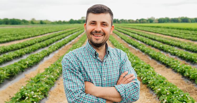 Preços ao produtor agropecuário caíram quase 10% no primeiro trimestre