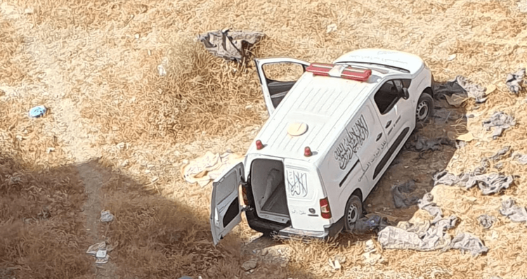 مسودة تلقائية