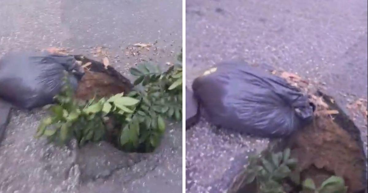 Vídeo: buraco na Rua Biguaçu deixa carro com dois pneus furados em Balneário Camboriú