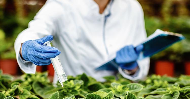 Ministério lança sistema para destravar análise de agrotóxicos e bioinsumos