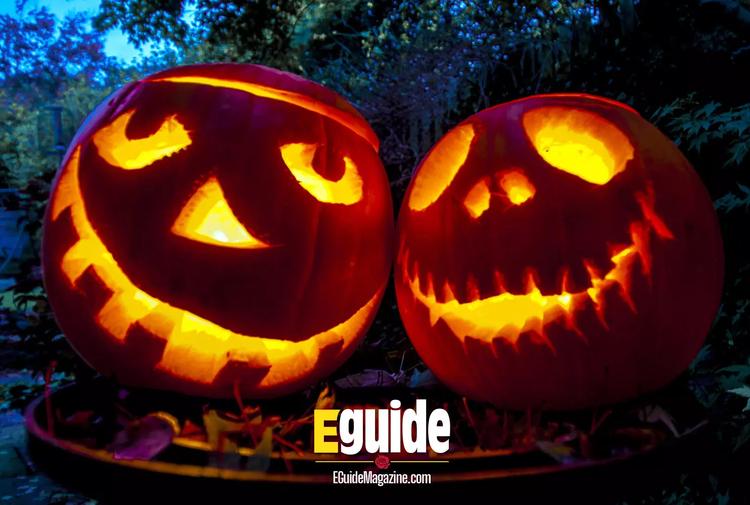 Fall & Halloween Events & More