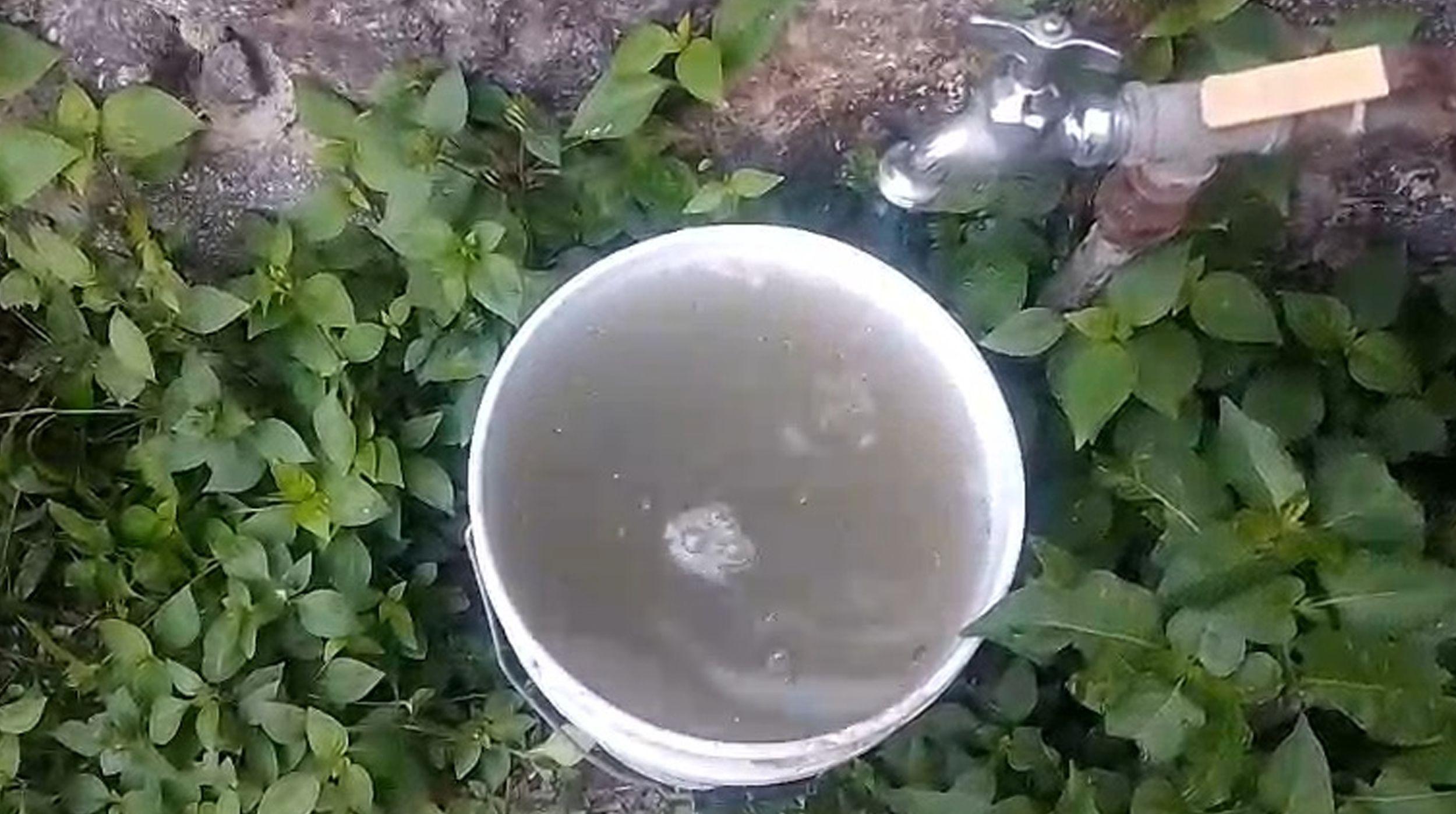 "Huele a podrido": Crisis por agua contaminada enferma a niños y adultos en la colonia Chapultepec