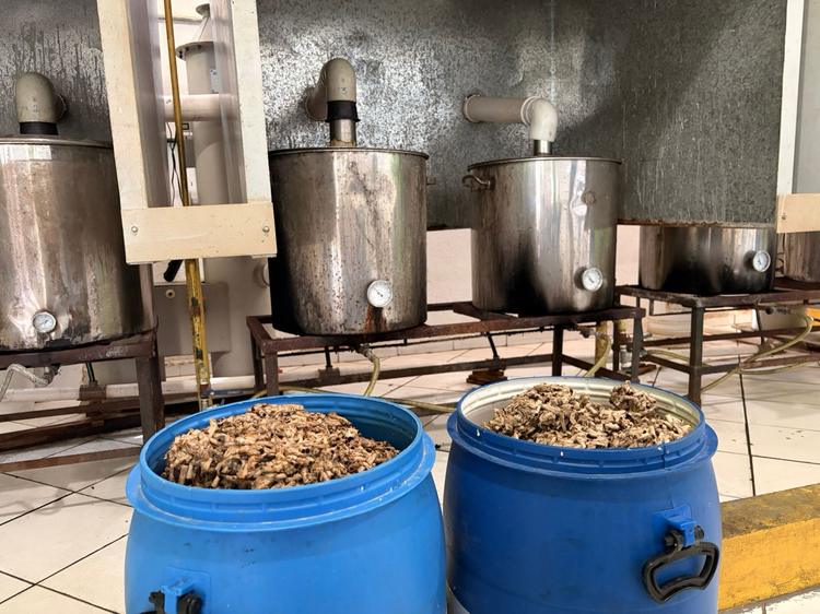Usina de reciclagem transforma bitucas de cigarro em artesanato e até material de construção no interior de SP; conheça