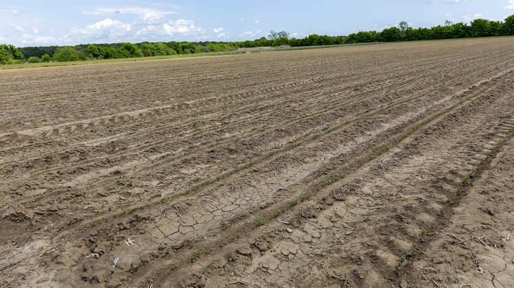 Mississippi farmers face drought conditions as USDA designates 45 counties for relief