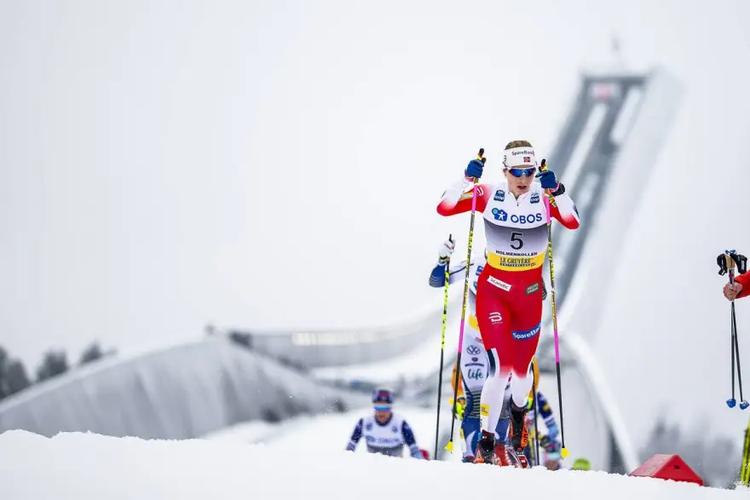 Biathlon, saut à ski, ski de fond, combiné nordique, ski nordique