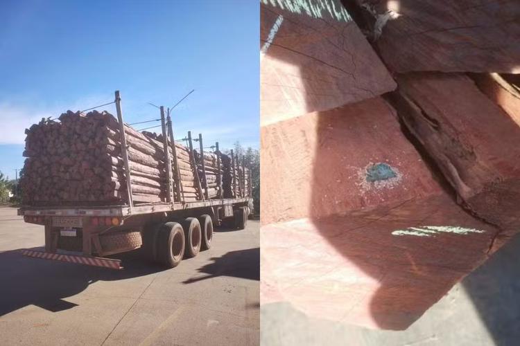 Polícia da Bolívia contesta cocaína em carga de 260 toneladas de madeira apreendida em MS e MT
