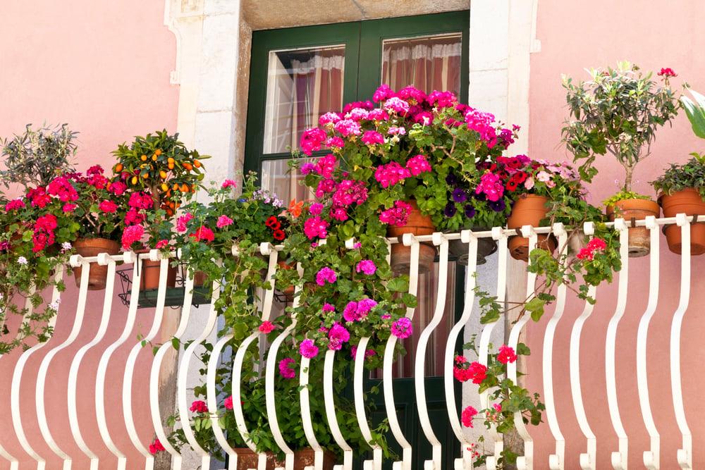 Casaletto Spartano lancia la prima edizione di “Casaletto in Fiore”