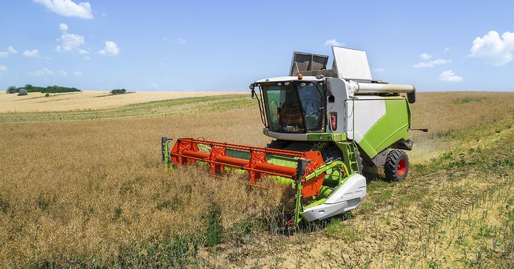 Cooperativas investem em agilidade e sistemas integrados para garantir qualidade no pós-colheita