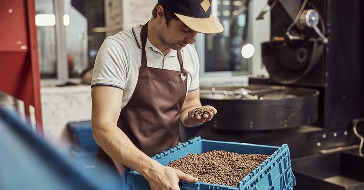 Exportações de café crescem 3,1% em setembro com retomada dos EUA