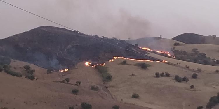 Incendi in Sicilia, notte di emergenza tra Siracusa, Enna e Ragusa: evacuazioni, abitazioni minacciate e decine di interventi
