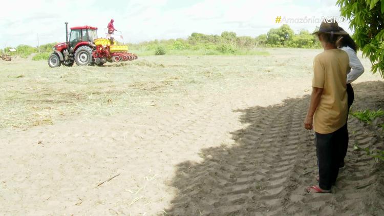 Agricultores apostam em plantio mecanizado para ampliar safra de milho em Boa Vista