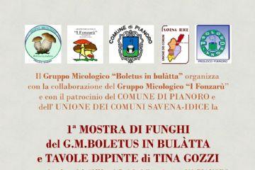01/11/2026 - Mostra di funghi promossa dal gruppo micologico "Boletus in Bulàtta"