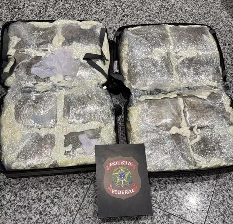 PF prende passageira com quase 34 quilos de 'supermaconha' em malas no Aeroporto do Recife; VÍDEO
